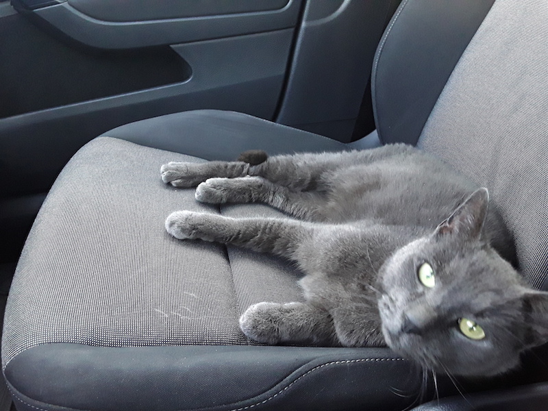 Mozes in de Auto